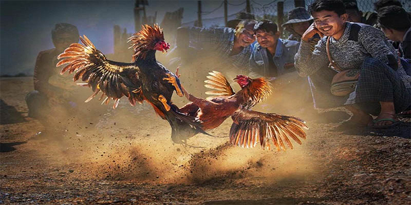 11luck8 đăng nhập roulette số 1