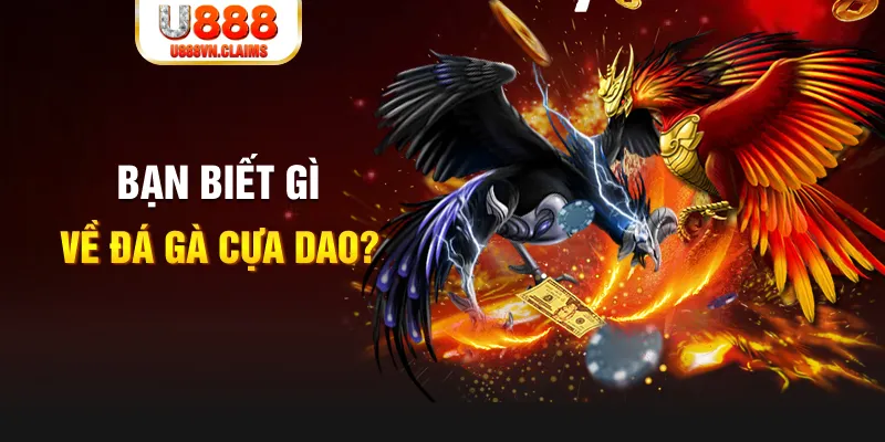 11luck8 xổ số kiến thiết