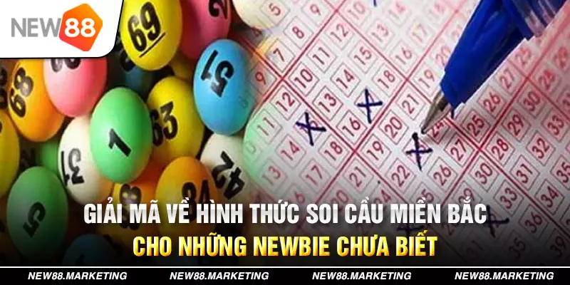 11luck8 đăng nhập mậu binh live