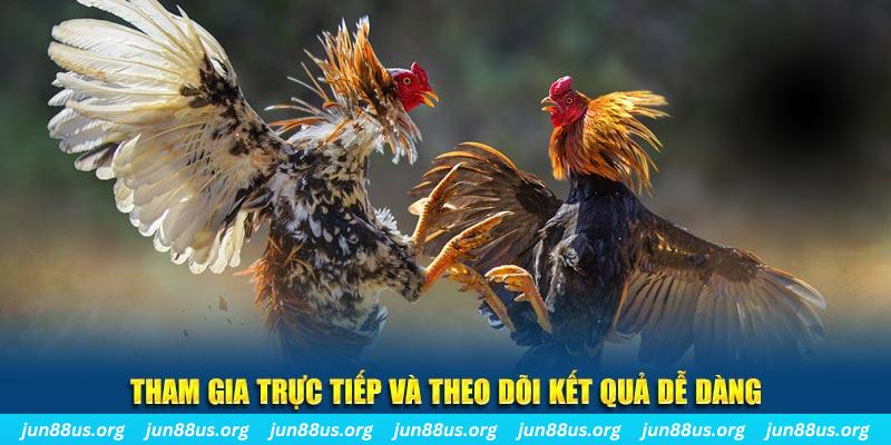 11luck8 đá gà trực tiếp bình luận viên