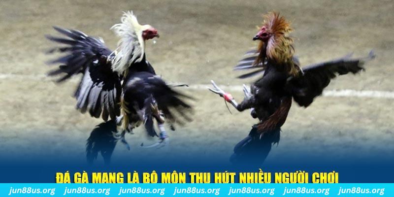 11luck8 xổ số cà mau