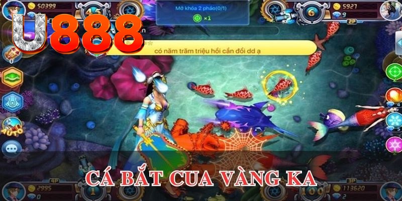11luck8 đăng nhập phỏm uy tín