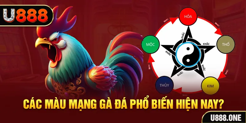 11luck8 đăng nhập mậu binh
