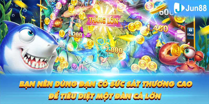 11luck8 Tung Đồng Xu