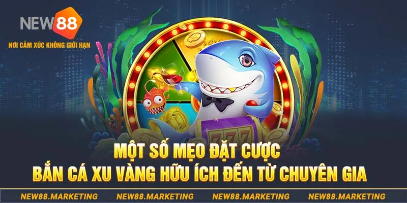 11luck8 Tài Xỉu