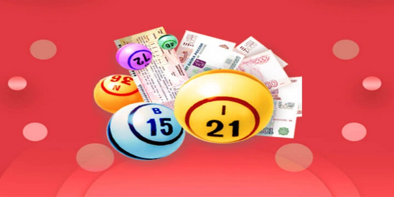 11luck8 cá cược thể thao là gì