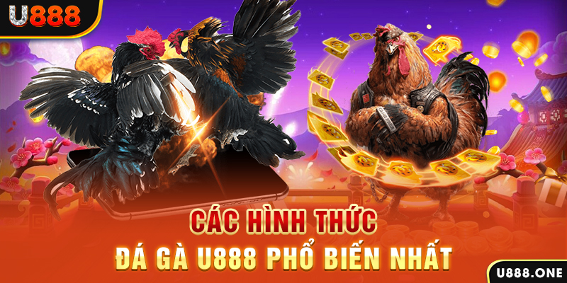11luck8 DB Trực Tuyến