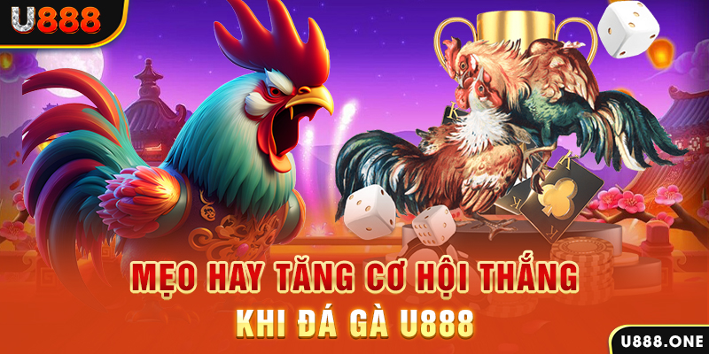 11luck8 trực tiếp gà chọi c1