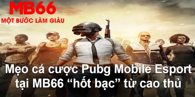 11luck8 gà chọi mộc hóa