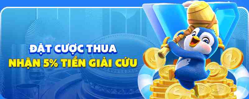 11luck8 gà chọi cu cần