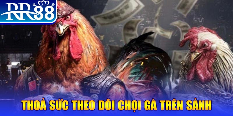11luck8 đá gà 88.com