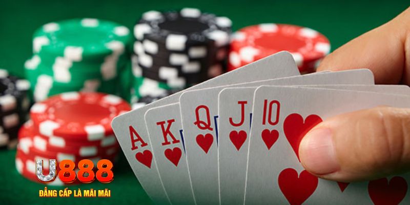 11luck8 trực tiếp đá gà